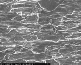 G:\新建文件夹\172螺母-225\SEM\4-3.tif