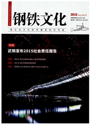 <b style='color:red'>钢铁</b>文化