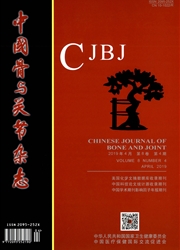 中国骨与<b style='color:red'>关节</b>杂志