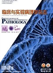 临床与实验病理学杂志