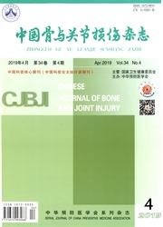 中国骨与关节损伤杂志