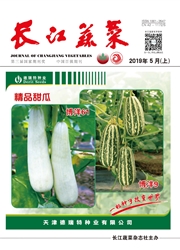 长江蔬菜