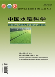 中国水稻科学