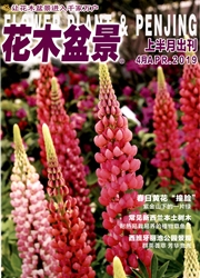 <b style='color:red'>花木</b><b style='color:red'>盆</b><b style='color:red'>景</b>：花卉园艺