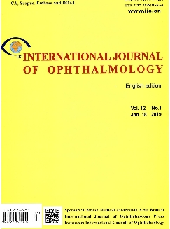 国际眼科杂志：英文版