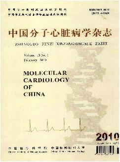 中国分子心脏病学杂志